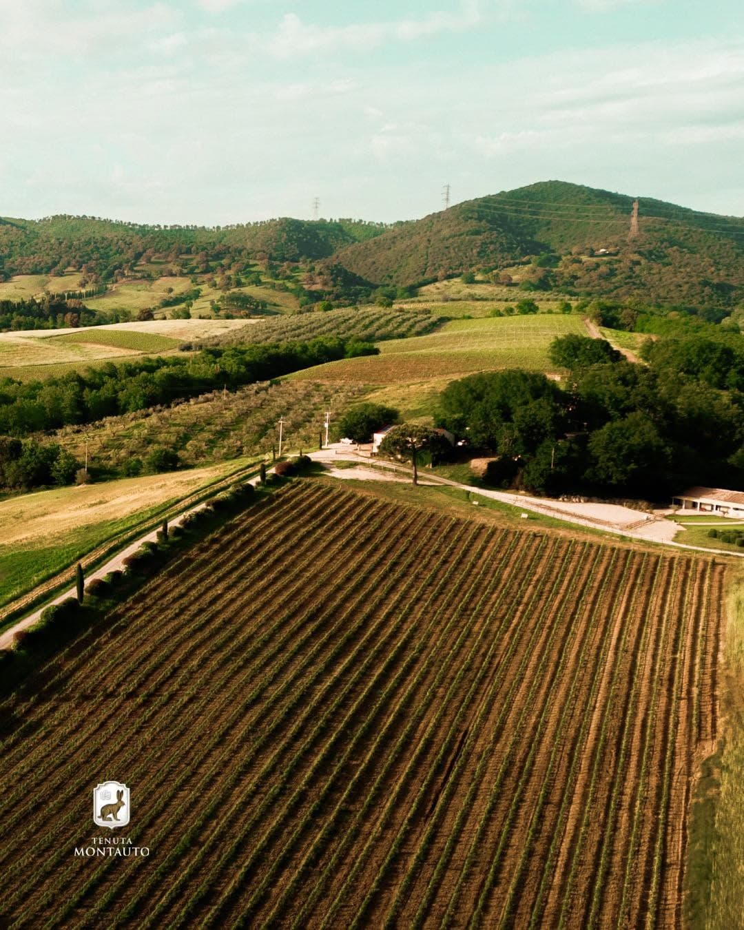 Country Tasting - Safari tra i vigneti e degustazione esclusiva
